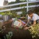 How to Tell If Your Garden Soil is Healthy?