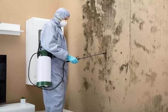 Mold-Removal-Contractor