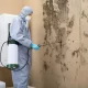 Mold-Removal-Contractor