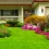 How to Maintain Your Lush Green Lawn