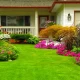 Lush green lawn