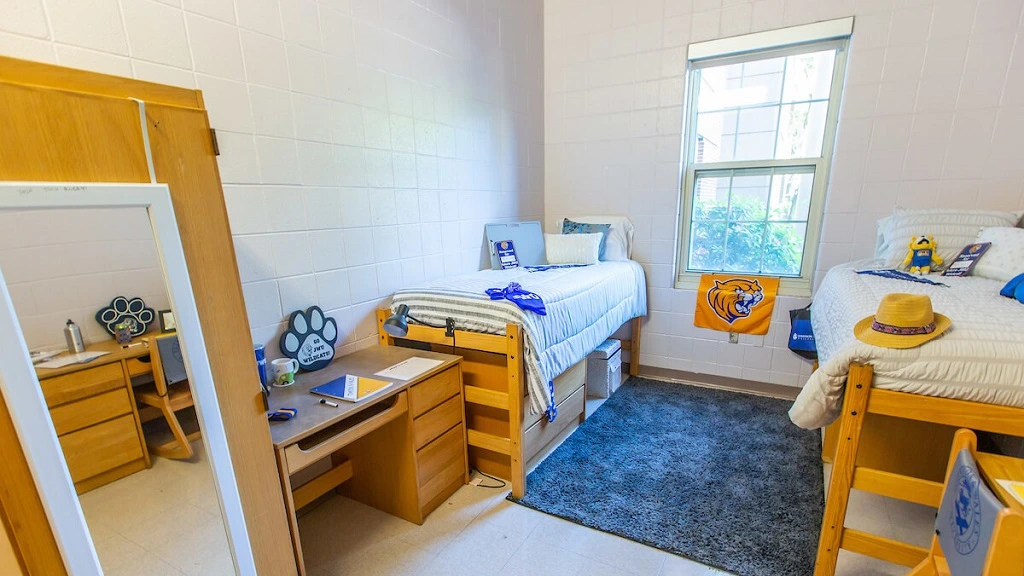 Enhance Your Space with Affordable Dorm Room Designs