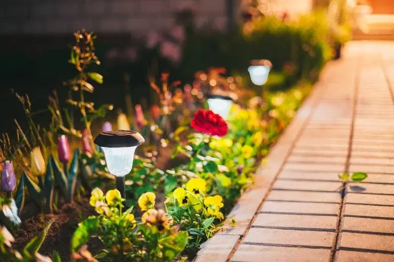 Best Solar Rope Lights Outdoor
