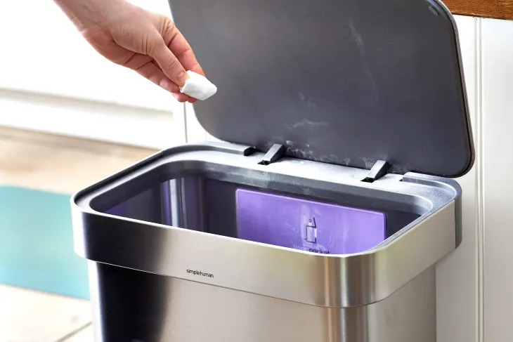 DIY Garbage Deodorizers