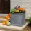 The Pollinator’s Paradise: Designing a Patio Planter That Attracts Bees, Butterflies, and Hummingbirds